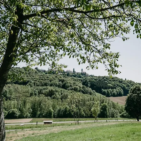 Apartment Kellerstoeckl Am Weinberg Sankt Anna am Aigen